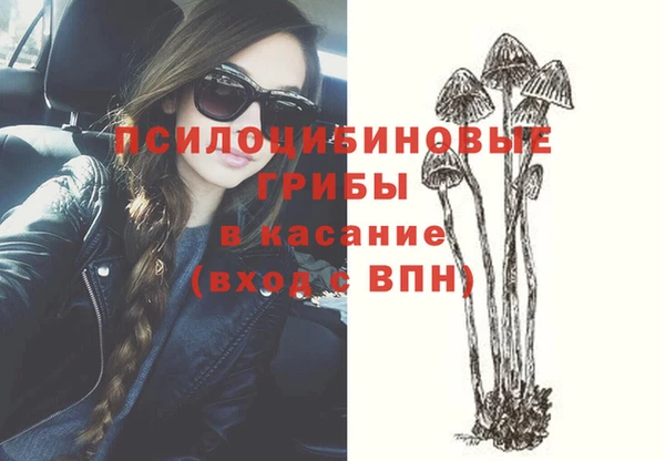 прущая мука Каменногорск