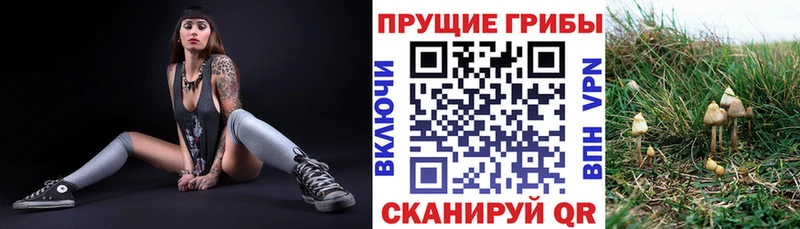 Галлюциногенные грибы мухоморы  Ульяновск 